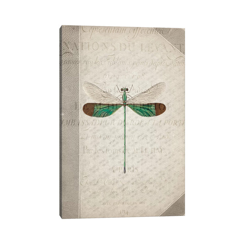 Dragonfly Book II by Kimberly Allen - Print on Canvas, 101.6cm H x 66.04cm W x 3.81cm D, Wrapped Canvas