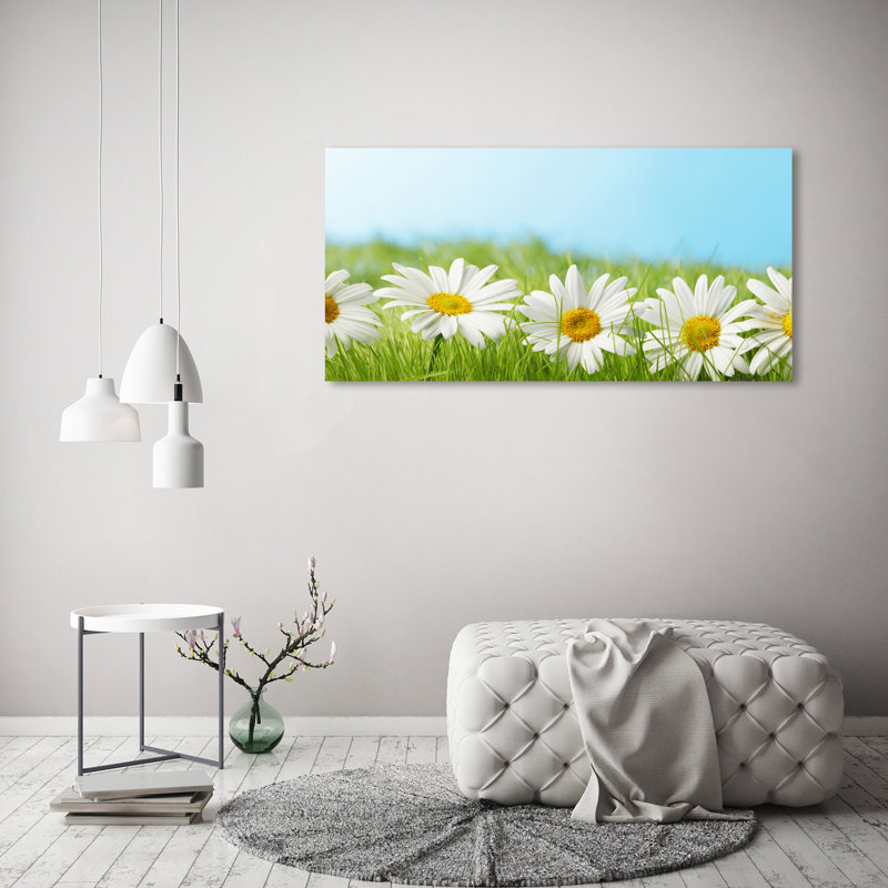 Daisies - Wrapped Canvas Print