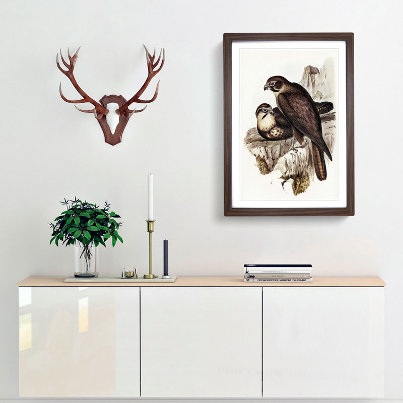 Brown Hawks by Elizabeth Gould - Picture Frame Painting Print, 48cm H x 36cm W x 2cm D, Walnut Framed