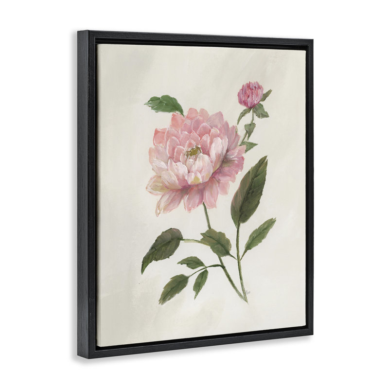 Cadre flottant Rosie Rose Flower Study, par Nan, H 31 po x l 25 po, Cadre flottant noir de jais