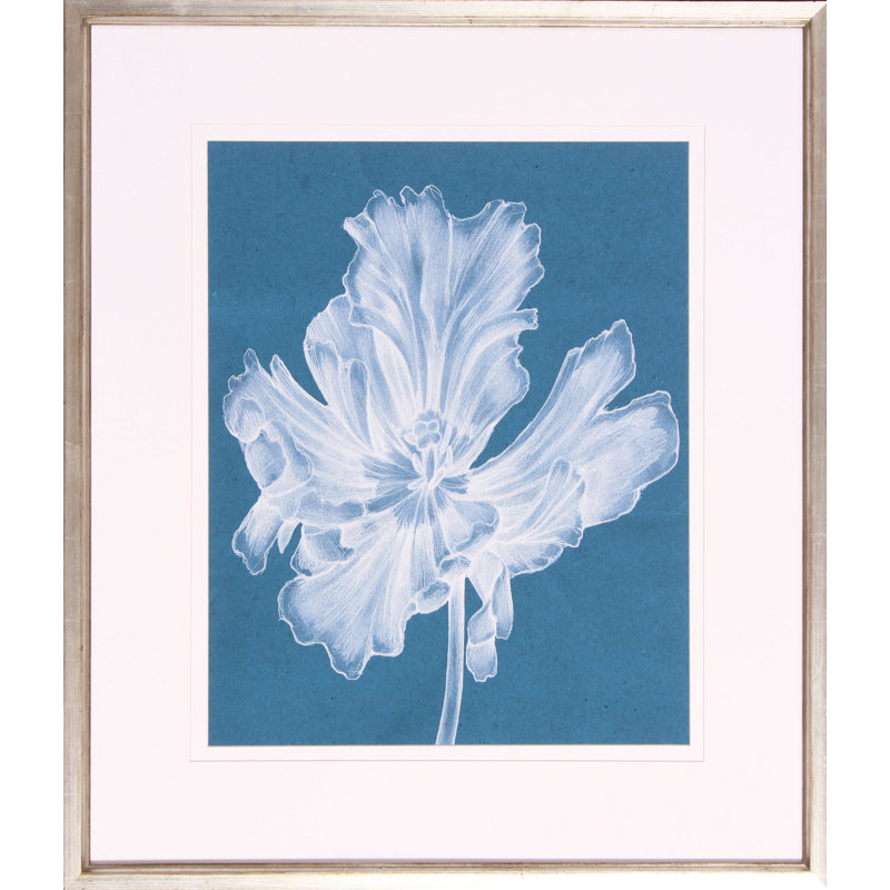 Monochrome Tulip II Print by Goldberger