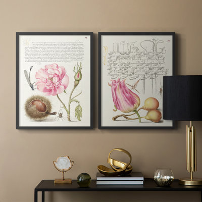 Hoefnagel Tropical Specples II - reproduction encadrée de qualité supérieure - prête à être accrochée - aucun clou requis - aucun clou requis