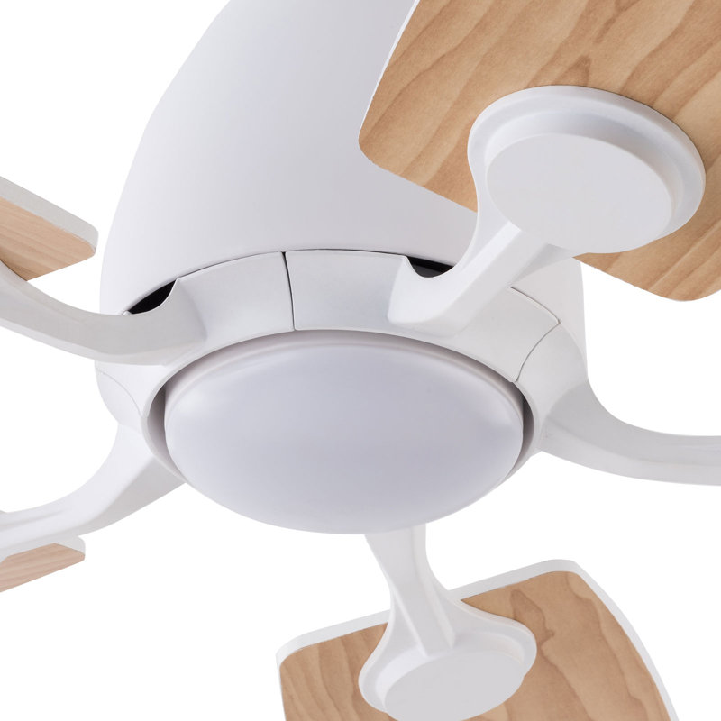 Ventilateur de plafond avec lumière DEL 42 po Kenndra