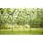 4 Pack Decorative Garden Fences and Borders for Dogs No Dig Metal Fence-890676400-836927464
