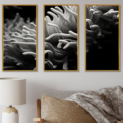 Noir et blanc «Anemoner Color Photo I - Coastal Coral Under Water», ensemble d'art mural