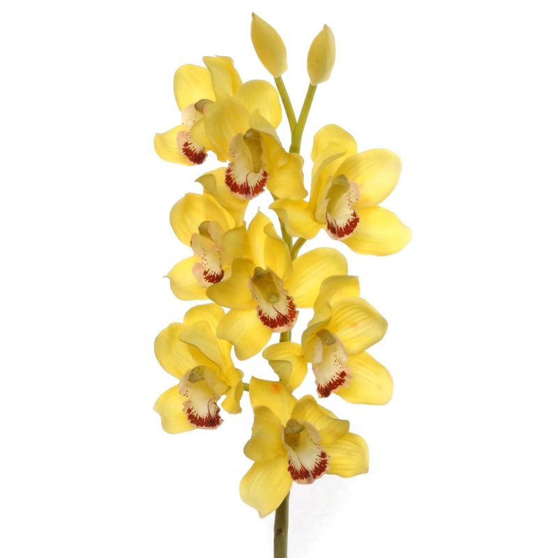 30" Tall Cymbidium Stem with 10 Flowers, Yellow, 6