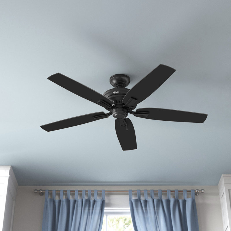 52" Newsome 5 - Blade Outdoor Standard Ceiling Fan with Pull Chain, Black