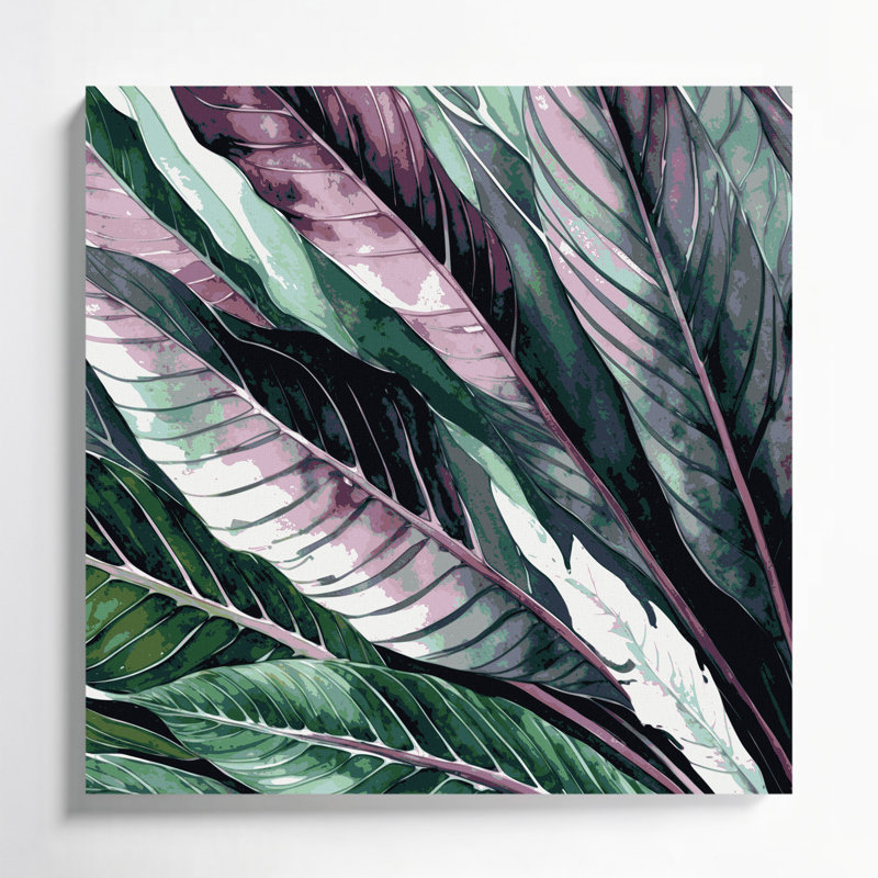 Art mural sur toile Botanical Calathea, H 12 po x l 12 po