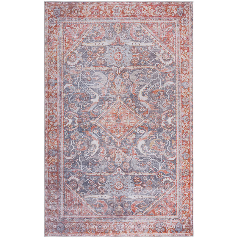 Abdussamad Oriental Gray/Rust Area Rug, Rectangle 5' x 8'