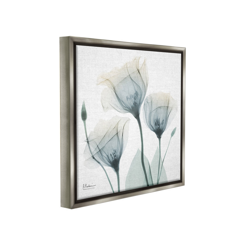 «Soft Opaque Tulips Floater Frame» par Albert Koetsier sur, H 25 po x l 25 po, Cadre flottant gris lustré