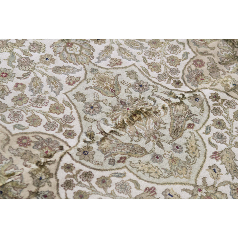 Chantel Oriental Area Rug