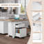 McLoughney 40cm Wide Mobile File Cabinet-1684424113