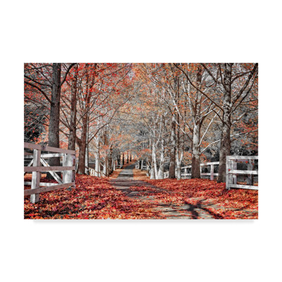 Modern & Contemporary