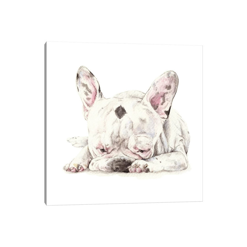 Spotted French Bulldog by Wandering Laur - Wrapped Canvas Painting, 30.48 cm H x 30.48 cm W