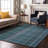 Premium Machine Washable Cerrito AMF541 Teal Rug-104020489