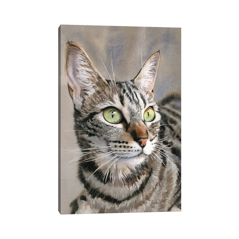 Tabby Eyes 1 Piece Wall Art on Canvas, 30.48 cm H x 45.72 cm W, Canvas