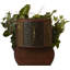 Ivy violet artificiel 5" en pot