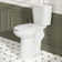 Elongated Two piece Toilet With Extra Tall Bowl, Powerful 1.28GPF Single Flush, Toilets For Seniors & Disabled