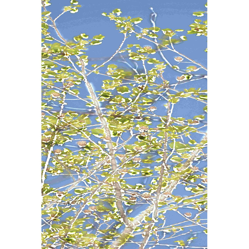 " Spring Poplars II " Watercolor Painting, 18" H x 12" W