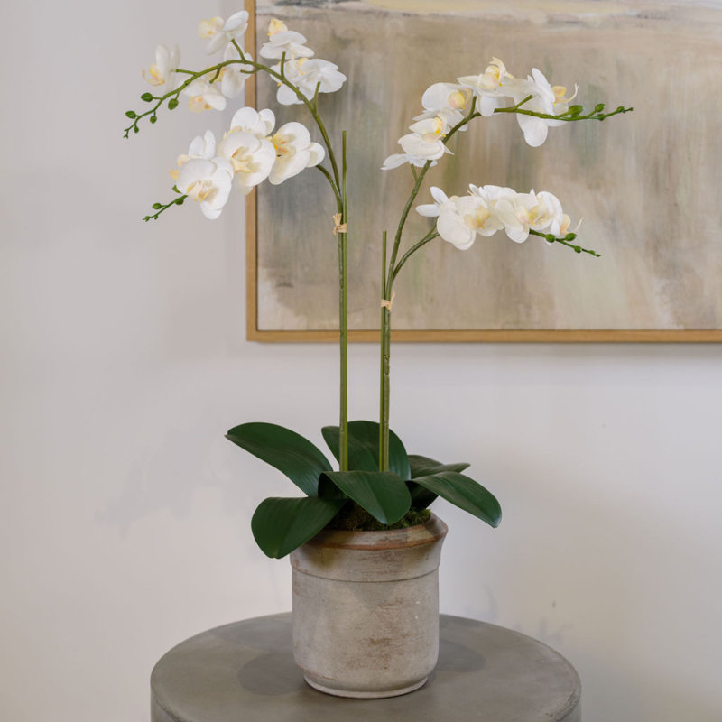 POT À 2 TIGES FLORAL, Blanc