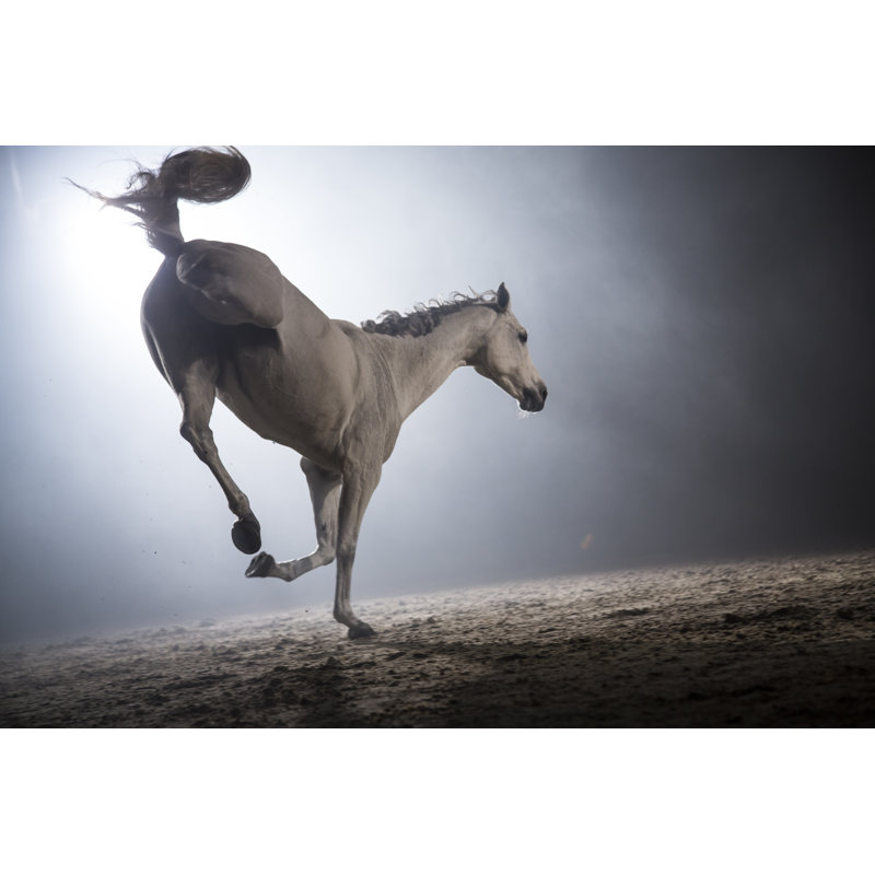 White Horse Bucking par Simonkr, H 32 po x l 48 po