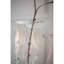 Vase de table Wapanucka-2111680964