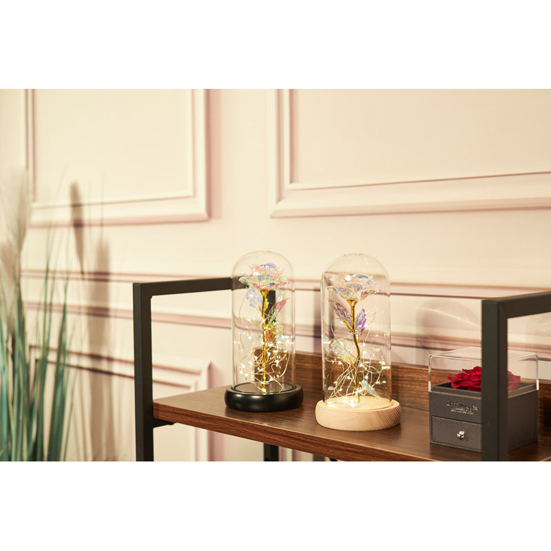 Darrah Landscape & Nature Cloche Or Water Globe