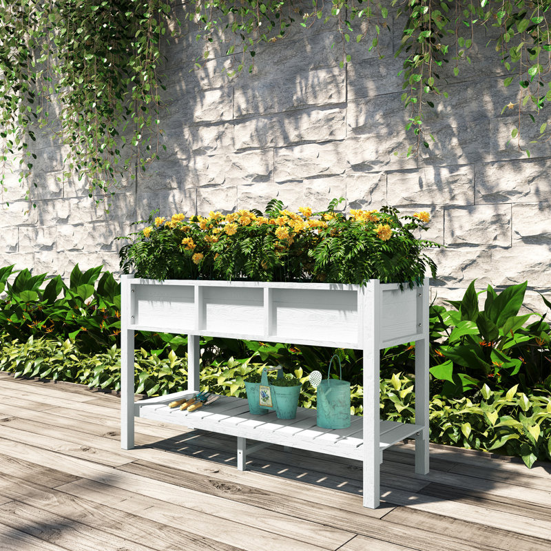 Lit surélevé surélevé pour jardin, Blanc