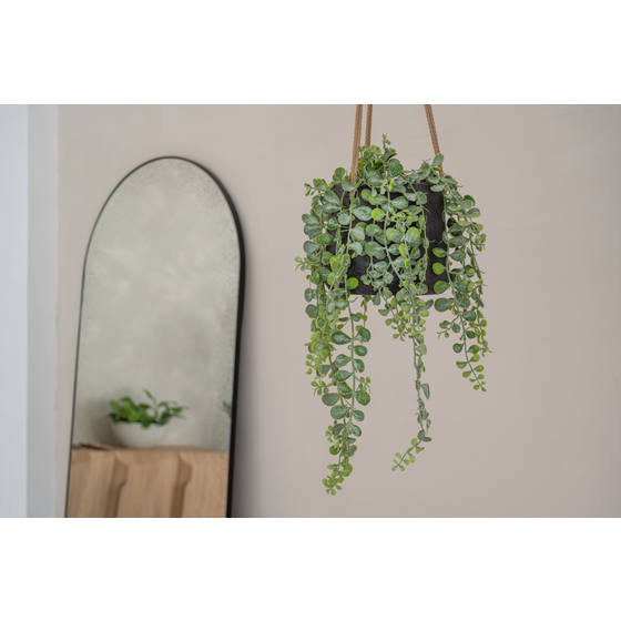 Gray Fiberstone Hanging Pot, 7" W x 7" D x 7" H, Black