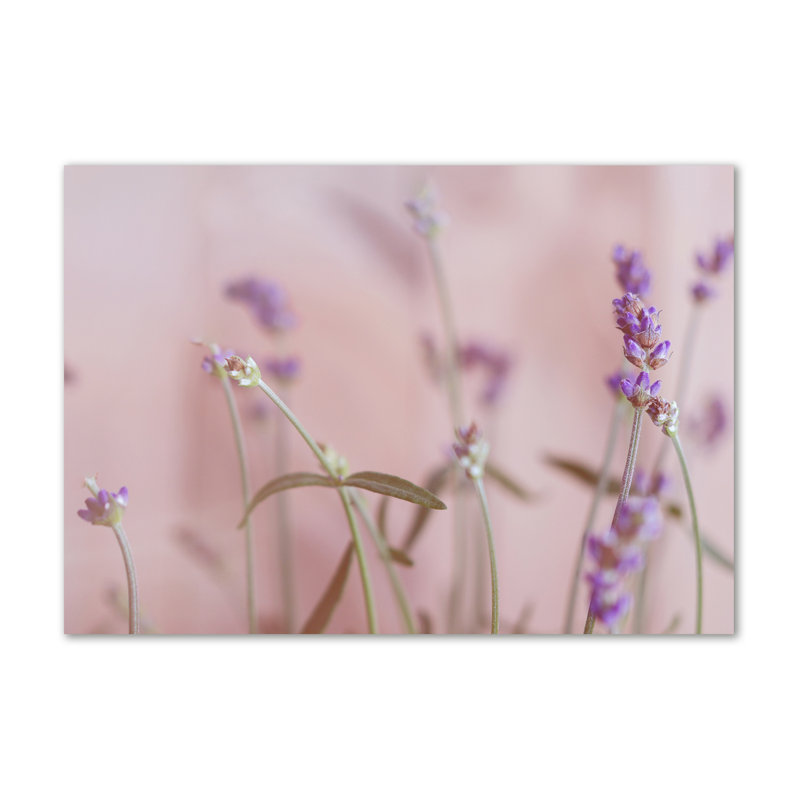 Lavender - Wrapped Canvas Print
