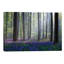 Adrian Popan - Wrapped Canvas Print-50002561