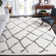 Zettie Berber Shag Performance Geometric Rug