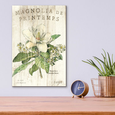 Epic Art 'Magnolia De Printemps' By Sue Schlabach, " Magnolia De Printemps " by Sue Schlabach