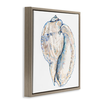 Conque coquille sur toile flottante encadrée par Christine Zalewski