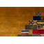 Hand-Knotted High-Quality Gold Area Rug
