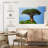 African Baobab