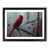 Black Framed selected