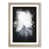 Oak Framed selected