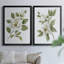 «Magnolia Morning I», toile encadrée de qualité supérieure - prête à être accrochée-1603279574-1603279573