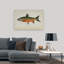 Reproduction d'art mural Willoughbys Char-1277249864