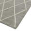 Reina Hand Tufted Wool Silver/White Rug-33982289