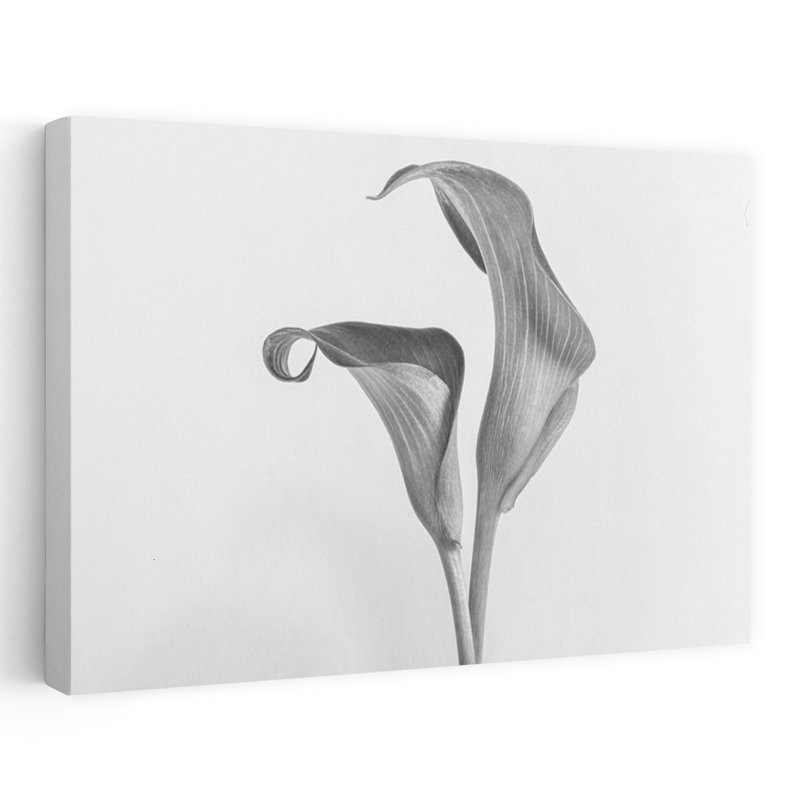 Calla, fleurs abstraites, art mural contemporain, H 60 po x l 40 po