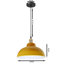 Binns 1 - Light Dome Pendant-1116152352