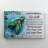A Sea Turtle - Never Forget Where You Came From - 1 Piece Rectangle Graphic Art Print On Wrapped Canvas-199709075