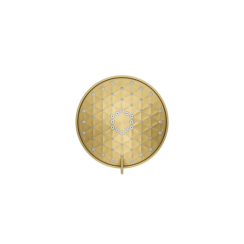 Awaken G110 1.75 Gpm Multifunction Showerhead, Vibrant Brushed Moderne Brass