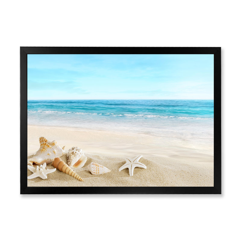 Paysage avec coquillages sur une plage tropicale - photographie sur toile, Cadre photo noir, H 30 po x l 40 po