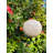 8'' Solar Powered Integrated LED Globe Lantern