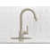 Adler Pull Down Single Handle Kitchen Faucet with Accessories