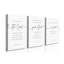 3 Piece Wrapped Canvas Print