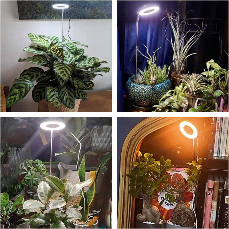 Adjustable Black and White LED Halo Plant Grow Light Set